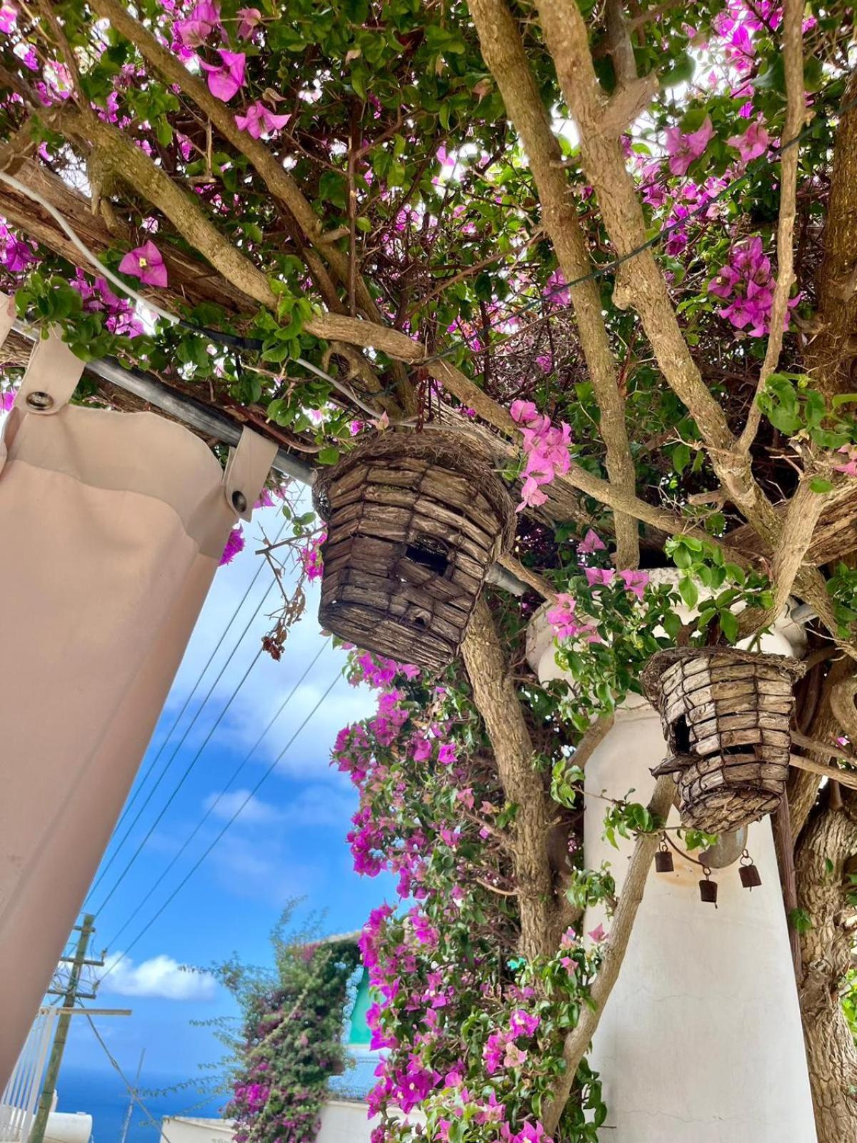 Alle Stelle B&B Anacapri  Exterior photo